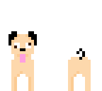 pug