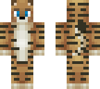 tabby cat