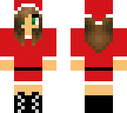 christmas racoon