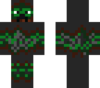 earth ninja
