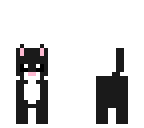 black cat