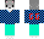 dog with jacket