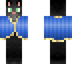 cat in a coat