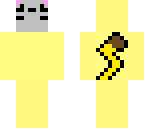 pushee cat in pikachu suit