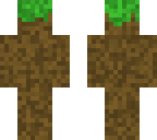 earth skin
