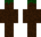 dirt