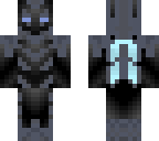 my elytra insect