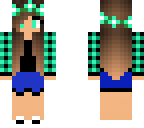 newer edited skin of mint plaid