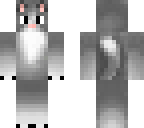 grey cat