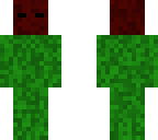 kiwiplasmacover