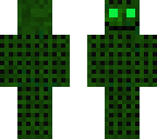the cactus man