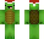 christmas turtle