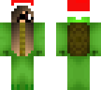 santa turtle