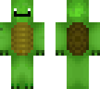 the turtle