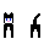 black and white cat skin