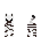 cute zebra