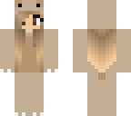 teddy bear suit