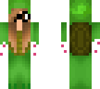 turtlesandcake