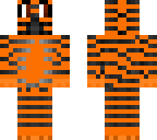 confused tiger