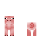 teh piggeh