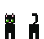 black cat
