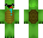derpy turtle