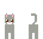 gray cat