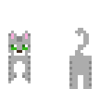 gray-striped cat