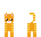 tiger cat
