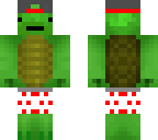turtle_dude