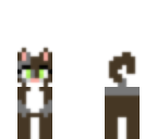kitty