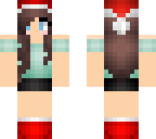 pet's xmas skin