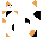 calico cat