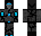 the guardian