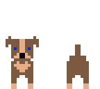 bro dog