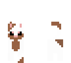 coffey cat