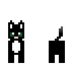 cute black and white cat