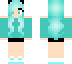turquoise cat
