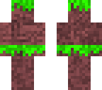 dirt disguise