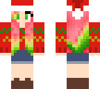watermelon x-mas