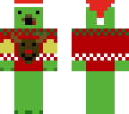 christmas turtle