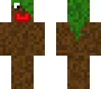 dirt