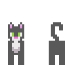 kitty