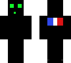 my skin with french flag