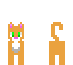 orange cat