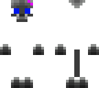 siamese cat