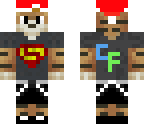 tiger with x-mas hat