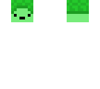 turtle head