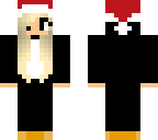 christmas penguin