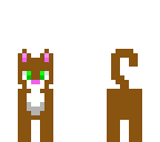 light brown chiwawa
